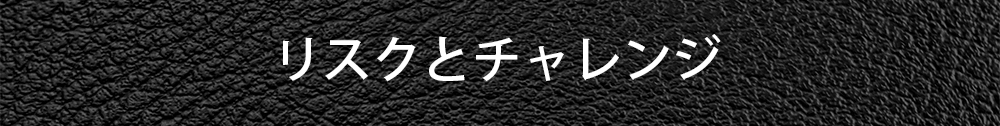 リスクとチャレンジ