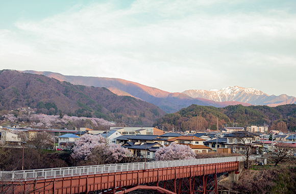 高遠町- 仙丈ケ岳と桜